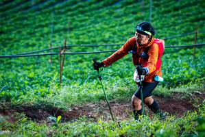 BIB: 
                            <button type="button" onclick="openModal(19160000)" class="btn btn-primary btn-sm float-right btn-popup" data-toggle="modal" data-target=".modal-high-quality">
                        <i class="fas fa-shopping-cart"></i> Add to Cart
                    </button>
                                            <button type="button" onclick="isThisMe(19160000, true)" class="btn btn-success btn-sm float-right btn-popup btn-isme hidden" data-toggle="tooltip" data-placement="bottom" title="นี่คือรูปของคุณใช่ไหม คลิกที่นี่เพื่อเอาเข้าอัลบั้ม">
                        <i class="fas fa-plus"></i> Add to album
                    </button>
                    <button type="button" onclick="isThisMe(19160000, false)" class="btn btn-warning btn-sm float-right btn-popup btn-isnotme hidden">
                        <i class="fas fa-ban"></i> Remove from album
                    </button>